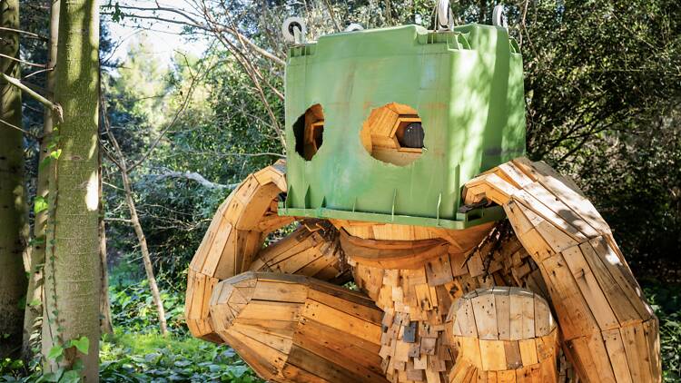 Thomas Dambo’s Trolls: A Field Study