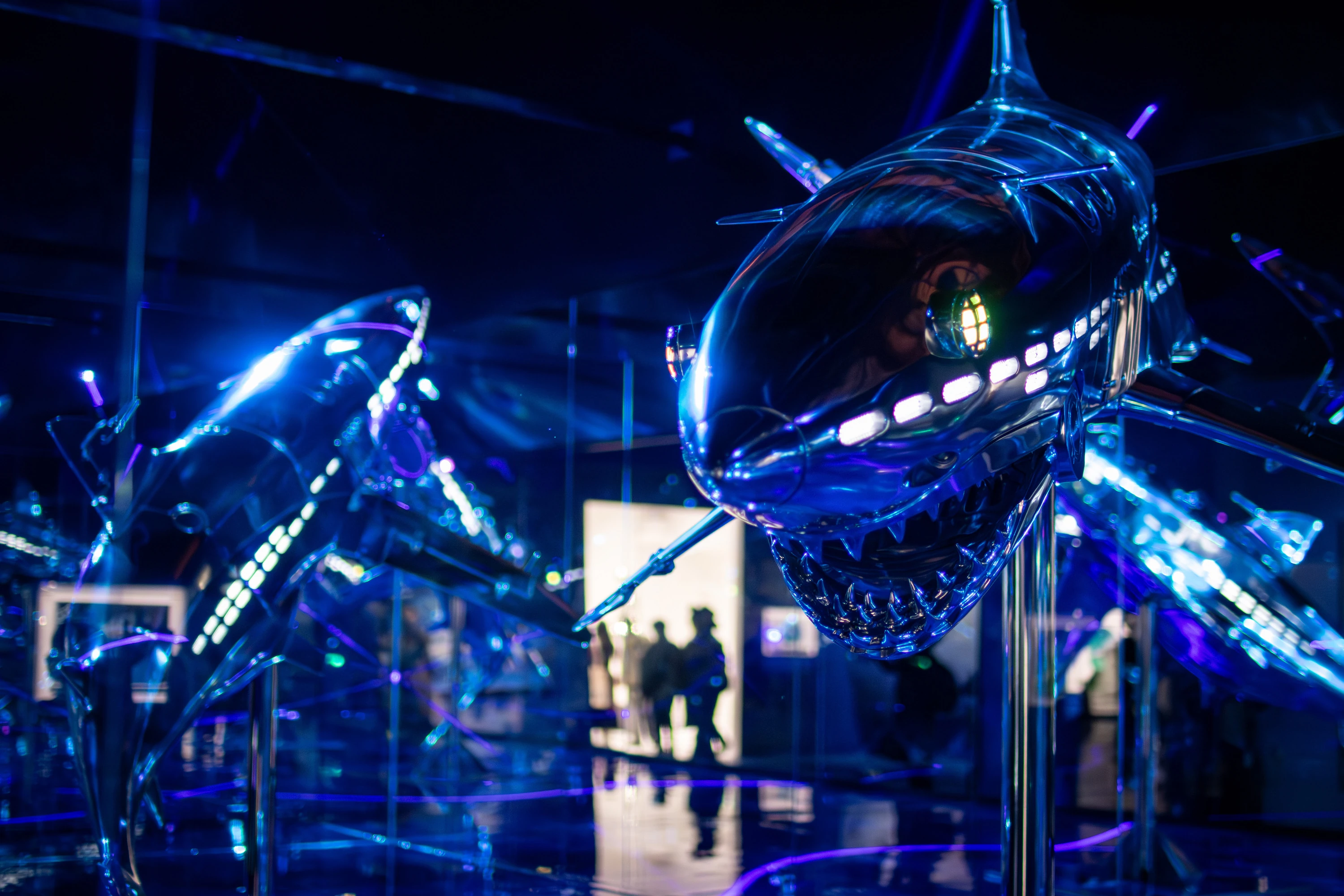 Sorayama: Light, Reflection, Transparency &ndash;Tokyo&ndash;