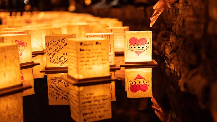 luces flotantes xochimilco gratis luces flotantes xochimilco gratis