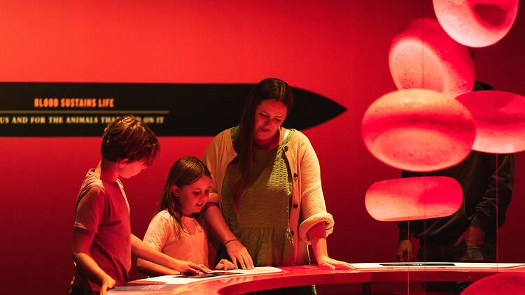 a boy and a girl with a woman looking at the Bloodsuckers: Nature’s Vampires exhibition
