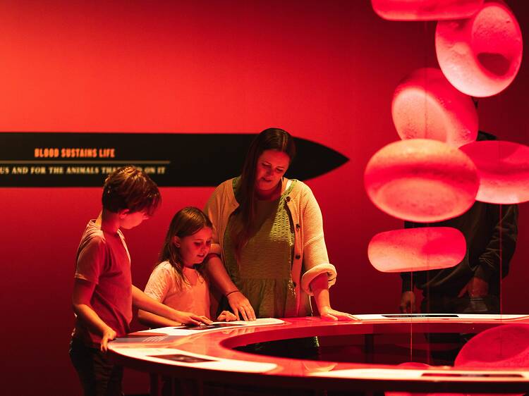 Bloodsuckers: Nature’s Vampires