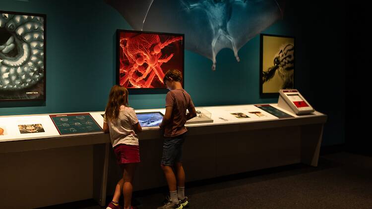 a girl and a boy at the Bloodsuckers: Nature’s Vampires exhibition