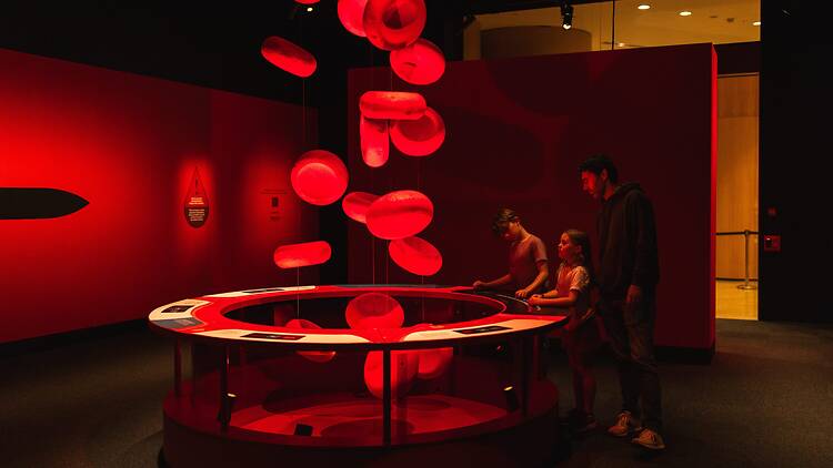 a girl, a boy and a man look at the Bloodsuckers: Nature’s Vampires exhibition