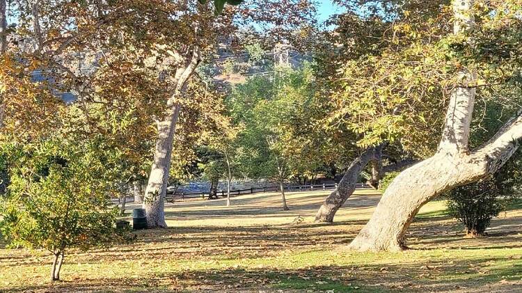Celebrate Bette Davis Picnic Area
