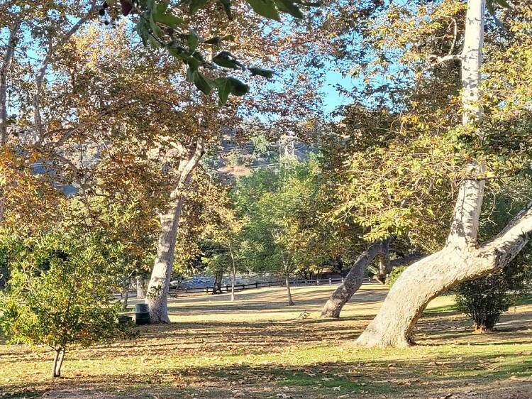 Celebrate Bette Davis Picnic Area