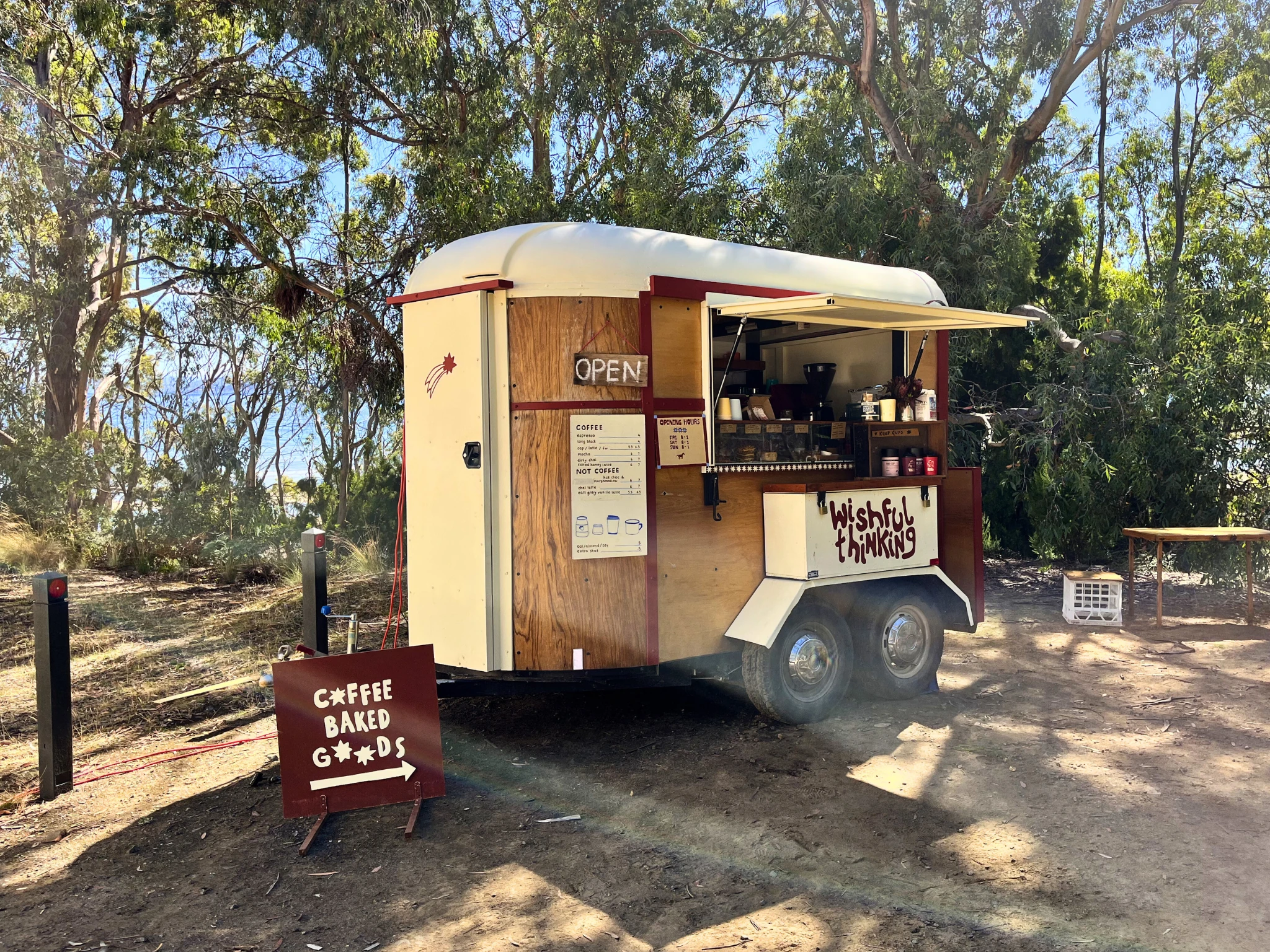 Wishful Thinking Co van