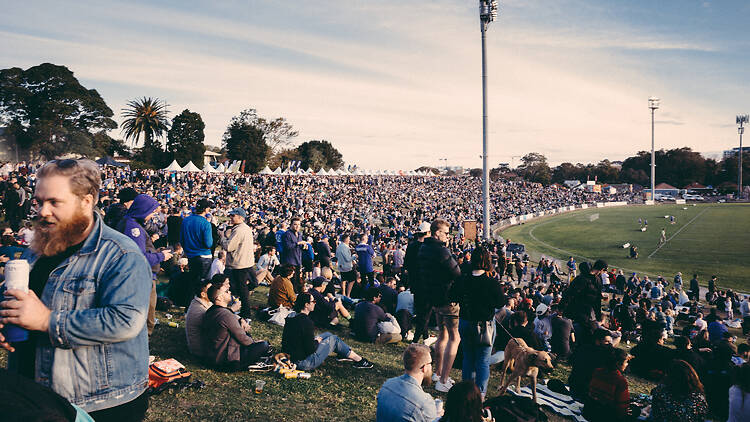 Beer Footy and Food Festival Beer Footy and Food Festival