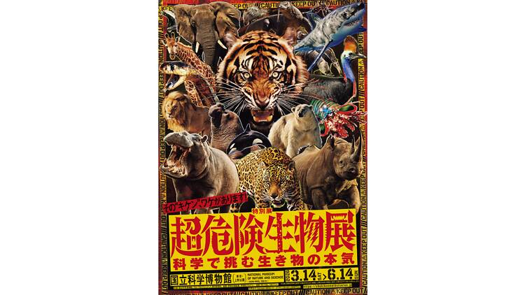 Super Dangerous Creatures: The Science Behind Ultimate Survival Skills