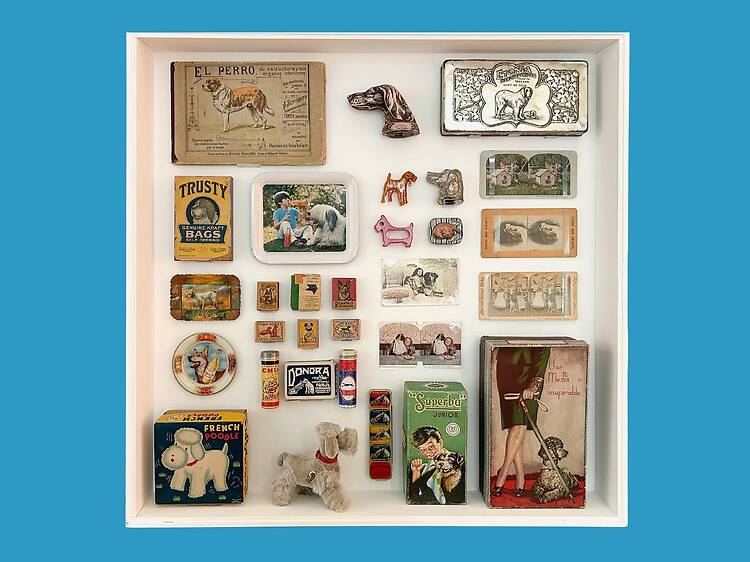 La colección, con todas sus letras en el MODO