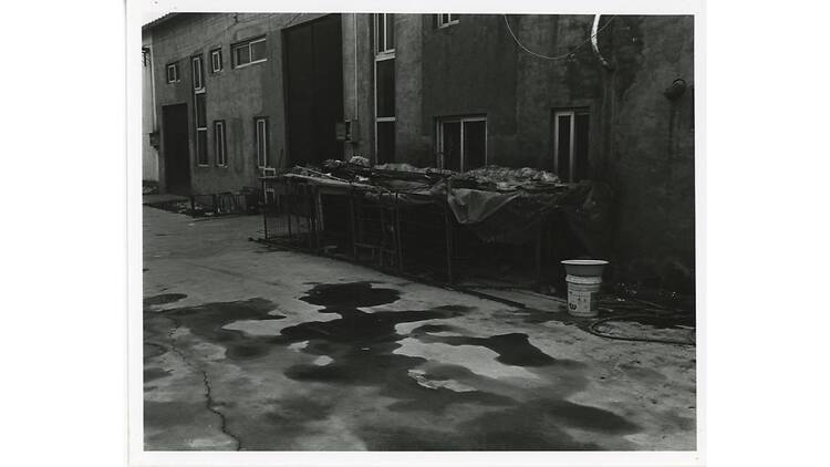 金村修 展 SKELETON GOATS DUST STORMS