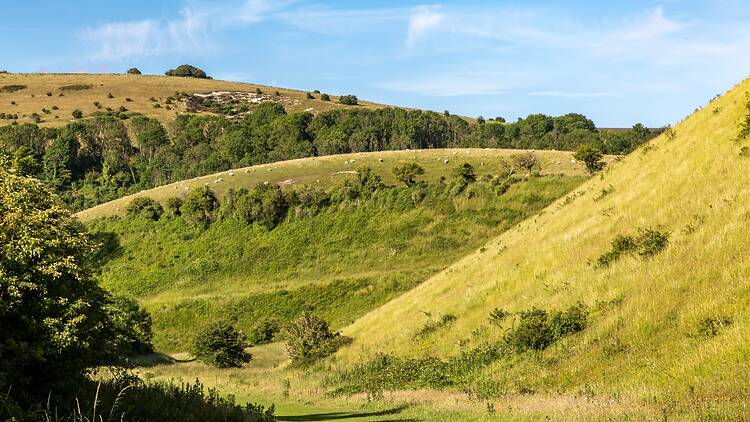 Sussex’s Devil’s Dyke Sussex’s Devil’s Dyke