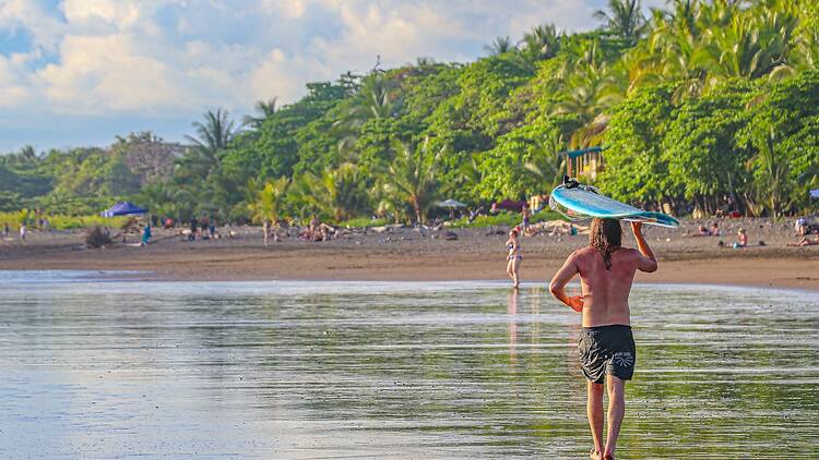Surfer on a tropical Costa Rican beach with palm trees