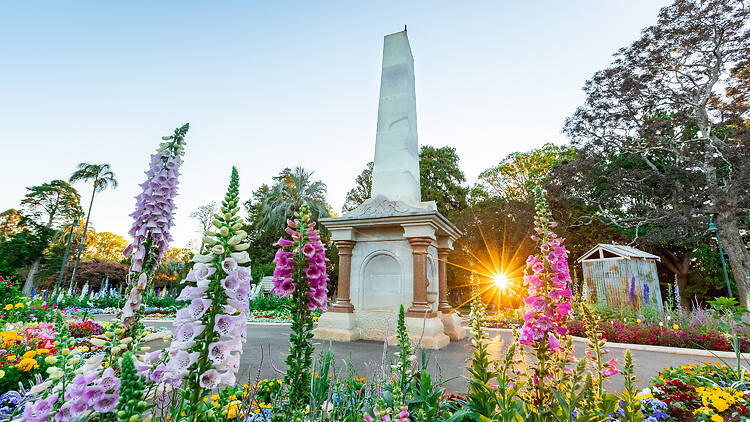 Toowoomba Botanic Gardens Queens Park