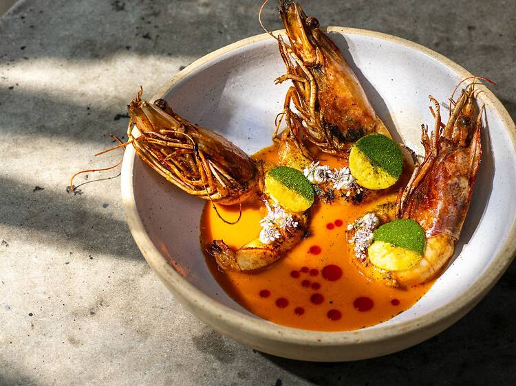 Arca: El fuego que ilumina las noches de Tulum