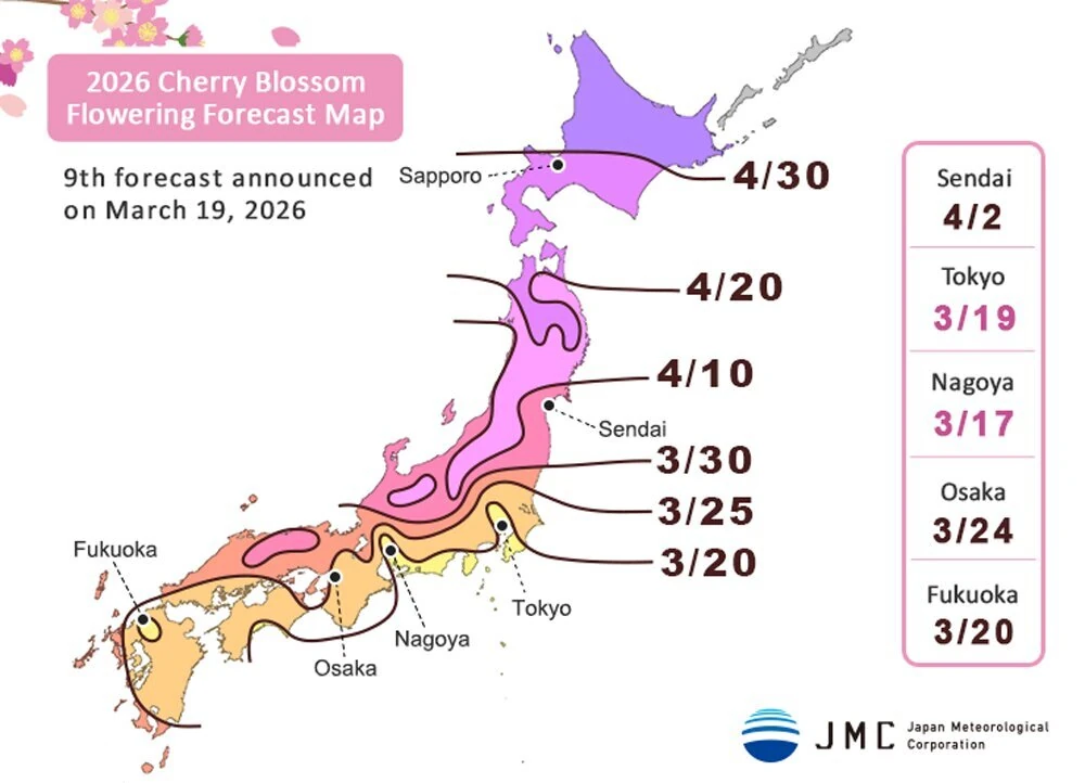 JMC Cherry Blossom Forecast 2026 - March 19