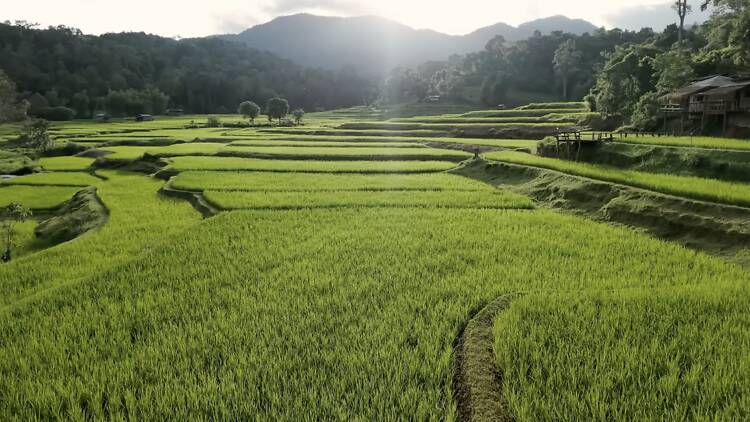 Sapan, Nan Sapan, Nan