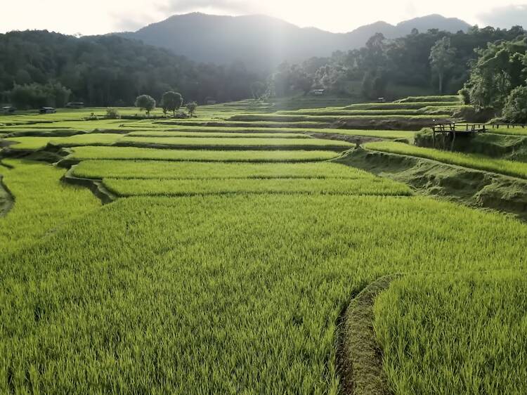 Sapan, Nan Sapan, Nan