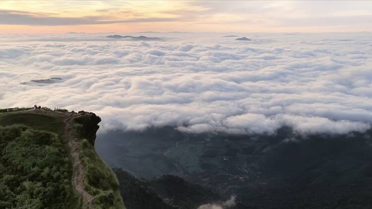 Phu Chi Fa, Chiang Rai Phu Chi Fa, Chiang Rai