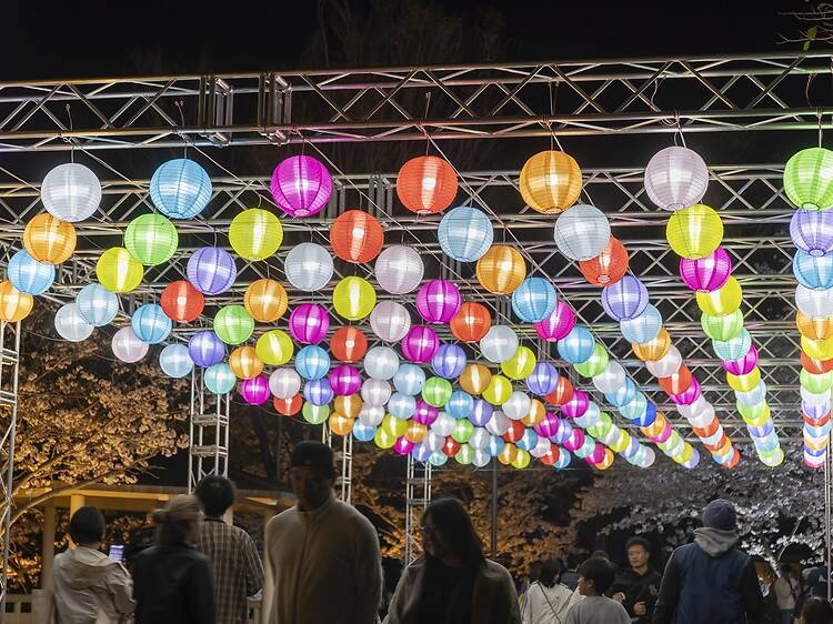 Atsumori Cherry Blossom Viewing Festival at Sumaura Park, Kobe