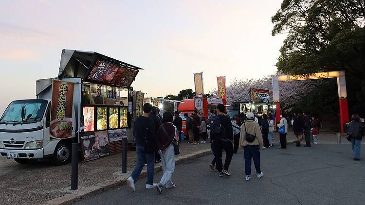 Atsumori Cherry Blossom Viewing Festival Atsumori Cherry Blossom Viewing Festival
