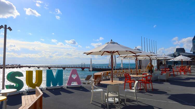 Atsumori Cherry Blossom Viewing Festival Atsumori Cherry Blossom Viewing Festival