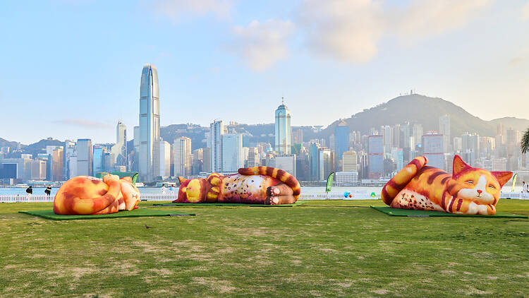 westk funfest cat installations