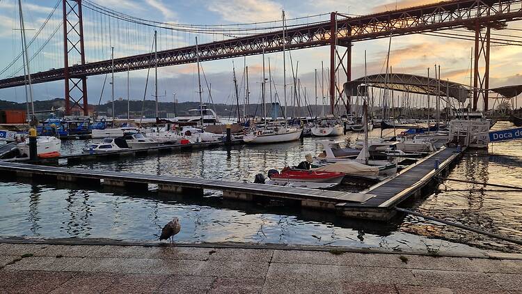 Doca de Santo Amaro Doca de Santo Amaro