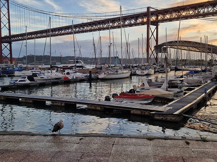 BrewClub ruma até Santo Amaro com café a agenda para todos