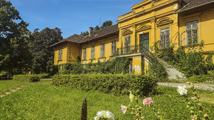 Budai Arborétum Budai Arborétum