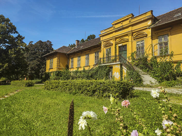 Budai Arborétum Budai Arborétum