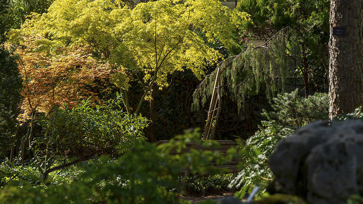 ELTE Füvészkert ELTE Füvészkert