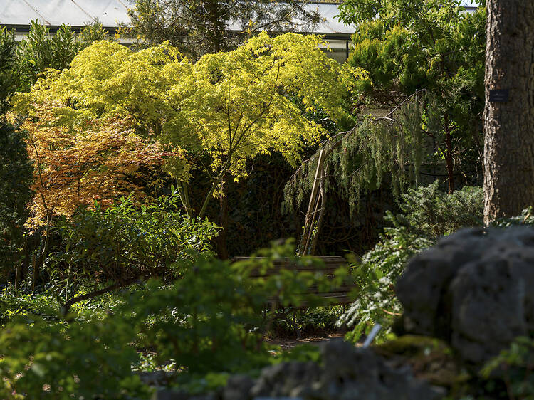 ELTE Füvészkert ELTE Füvészkert