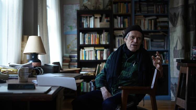 Late Fame / Geç Gelen Şöhret