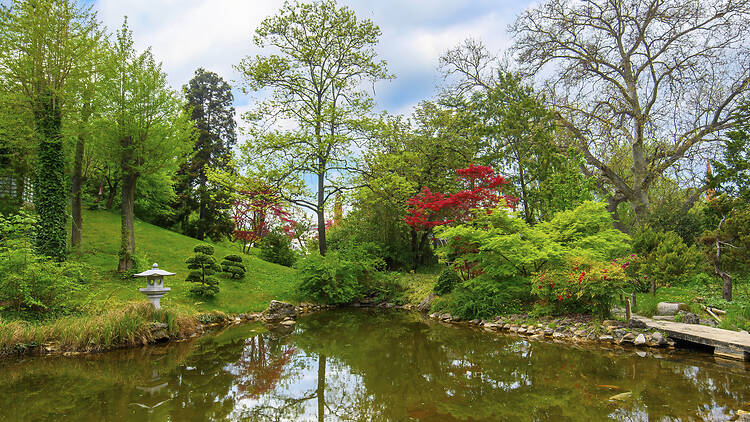 Fővárosi Állat- és Növénykert Fővárosi Állat- és Növénykert