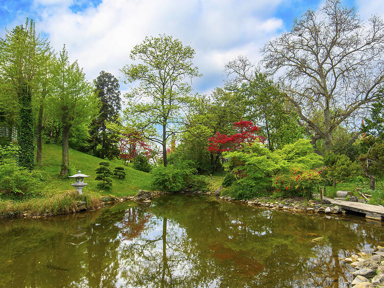 Fővárosi Állat- és Növénykert Fővárosi Állat- és Növénykert