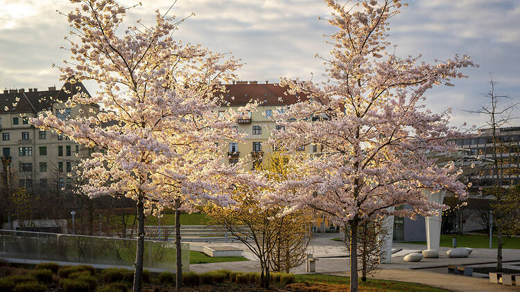 Széllkapu Park Széllkapu Park