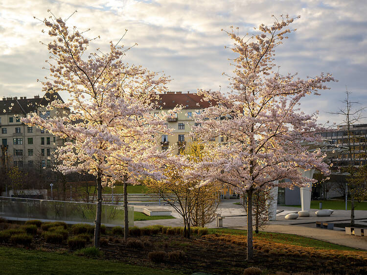 Széllkapu Park Széllkapu Park