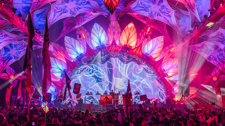 Beyond Wonderland