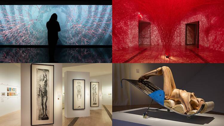 Top: (Left) Evolve (Right) The Network Within / Bottom: (Left) Anatomical engravings (Right) Wanderer Top: (Left) Evolve (Right) The Network Within / Bottom: (Left) Anatomical engravings (Right) Wanderer