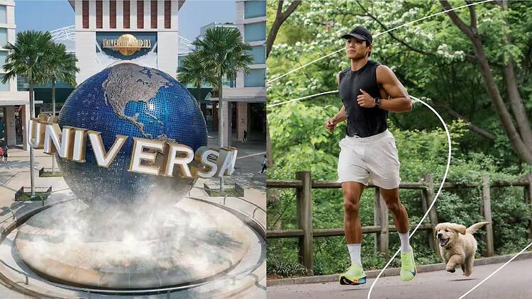 USS Sentosa Amotti dog walk USS Sentosa Amotti dog walk