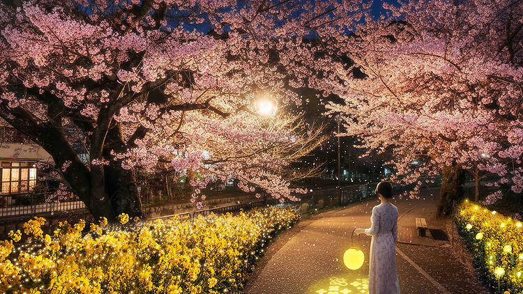 NAKED Night Stroll: Kyoto, Yamashina NAKED Night Stroll: Kyoto, Yamashina