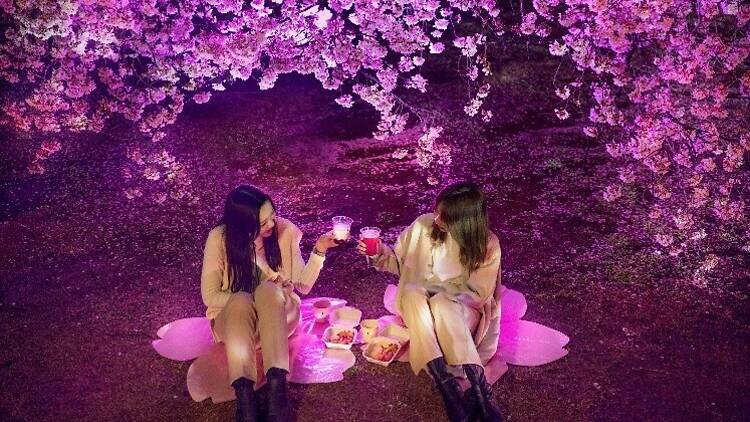 NAKED Night Stroll: Kyoto, Yamashina NAKED Night Stroll: Kyoto, Yamashina