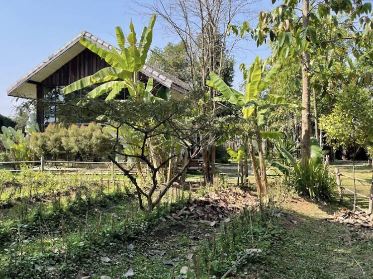 Marisa Marchitelli Marisa Marchitelli