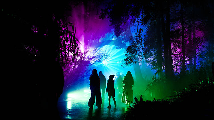 Lightscape People walking through glowing lights at Lightscape.