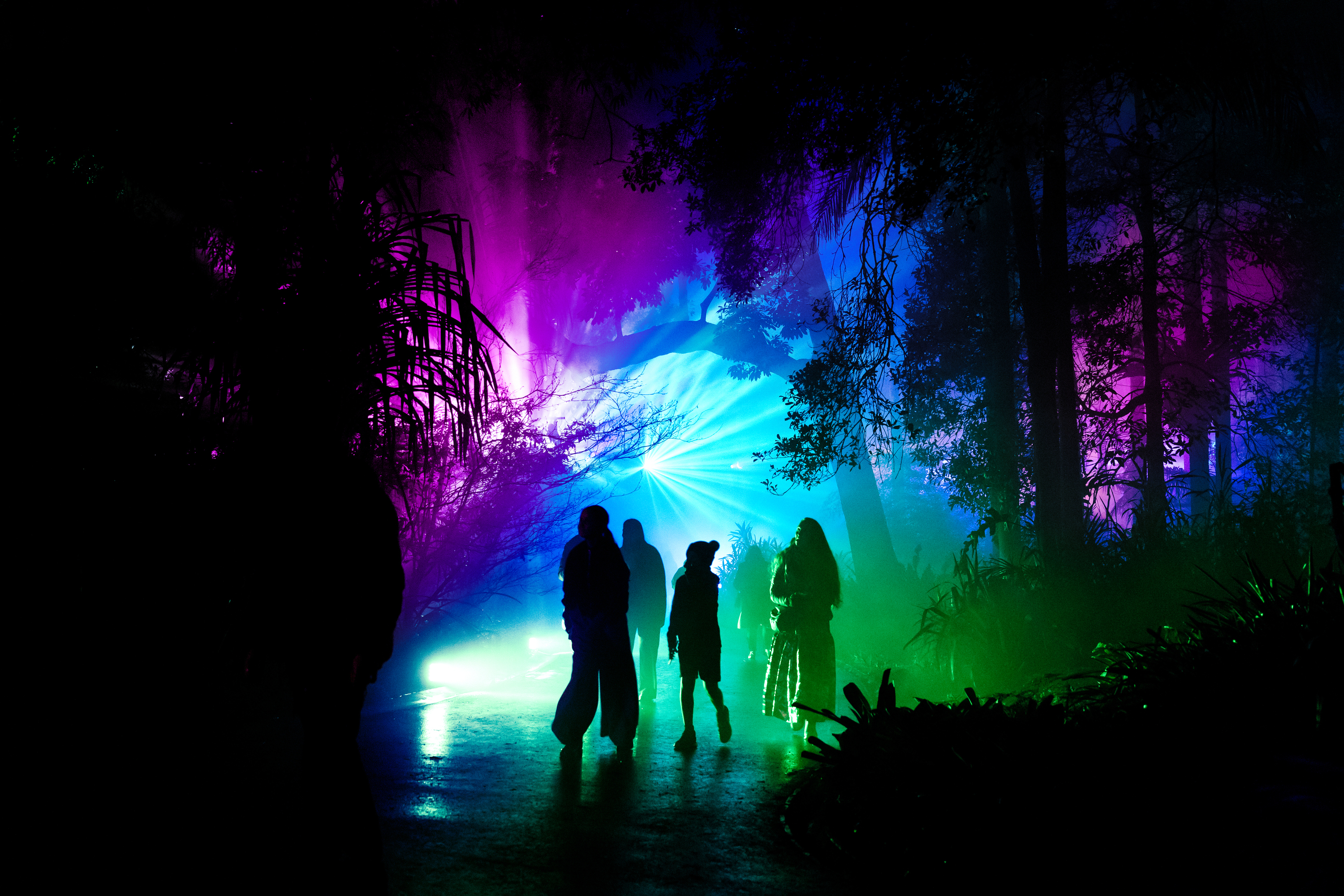The best things to do in Melbourne in June