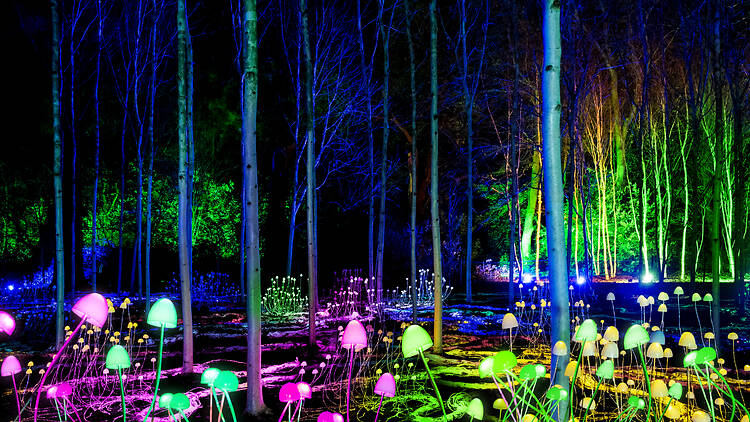 Lightscape A glowing mushroom installation at Lightscape.