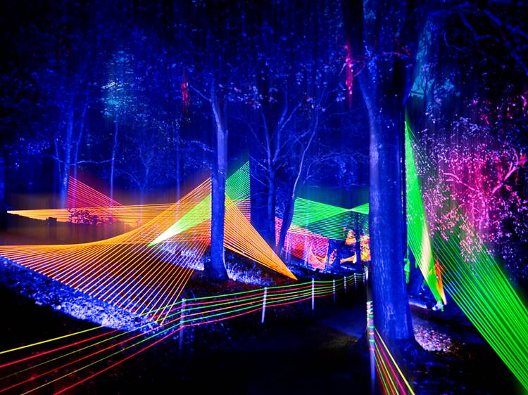 Lightscape A neon light display at Lightscape.
