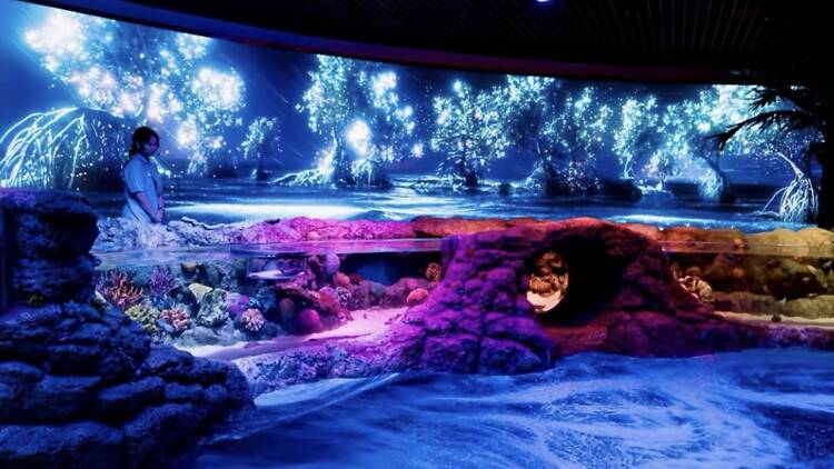 Sea Life Bangkok Sea Life Bangkok