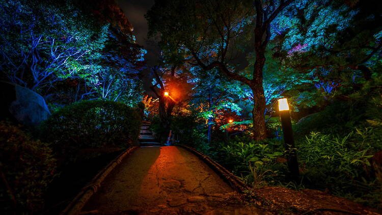 Fujiidera Culture Night in Domyoji Tenmangu