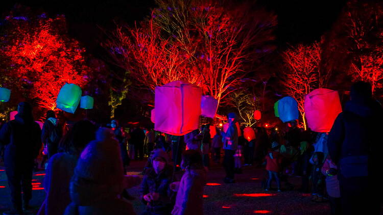 Fujiidera Culture Night in Domyoji Tenmangu